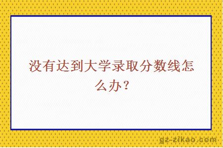没有达到大学录取分数线怎么办？