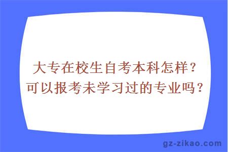 大专在校生自考本科怎样？可以报考未学习过的专业吗？