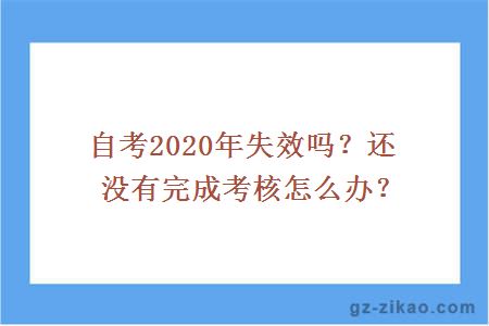 自考2020年失效吗？还没有完成考核怎么办？