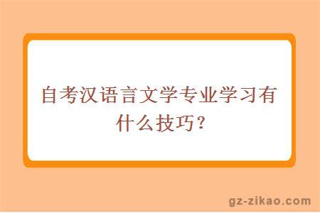 自考汉语言文学专业学习有什么技巧？