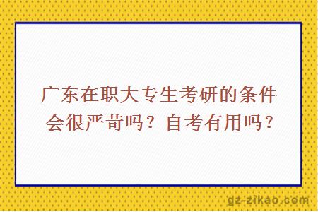 广东在职大专生考研的条件会很严苛吗？自考有用吗？