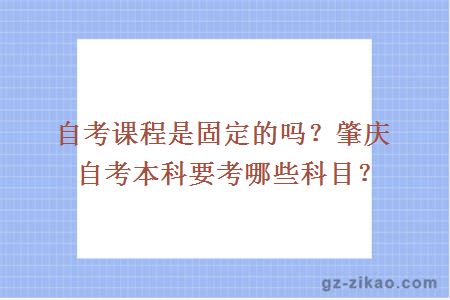 自考课程是固定的吗？肇庆自考本科要考哪些科目？