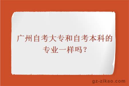 广州自考大专和自考本科的专业一样吗？