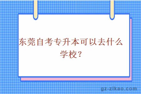 东莞自考专升本可以去什么学校？