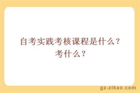 自考实践考核课程是什么？考什么？