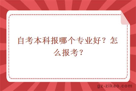 自考本科报哪个专业好？怎么报考？