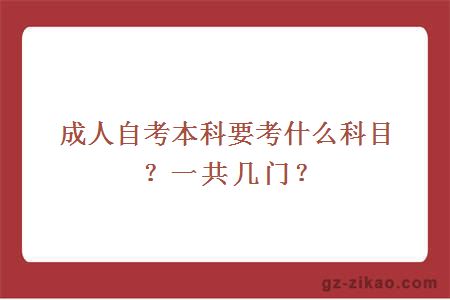 成人自考本科要考什么科目？一共几门？