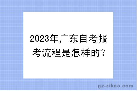 2023年广东自考报考流程是怎样的？