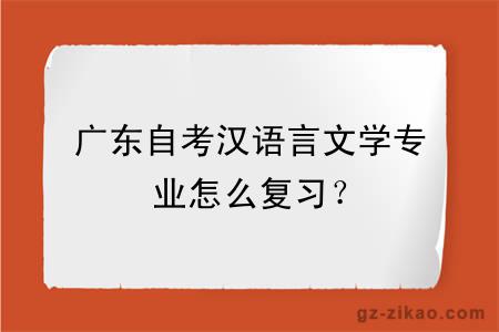 广东自考汉语言文学专业怎么复习？