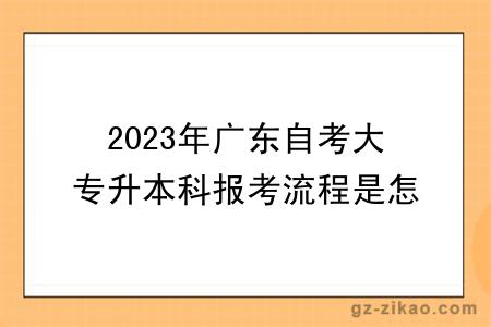2023年广东自考大专升本科报考流程是怎样的？多少钱？