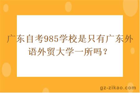 广东自考985学校是只有广东外语外贸大学一所吗