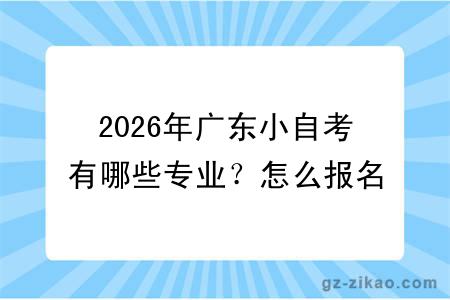 2026年广东小自考有哪些专业？怎么报名？多久拿证？（附带详细报名流程）