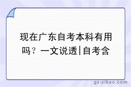 现在广东自考本科有用吗?一文说透|自考含金量